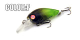 Bearking Hot model professional A+ fishing